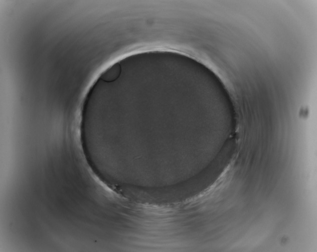 X0000101951508200808151241