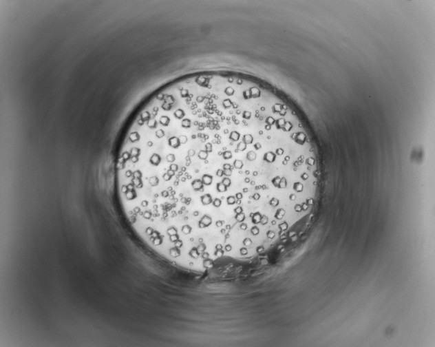 X0000101951509200808151241