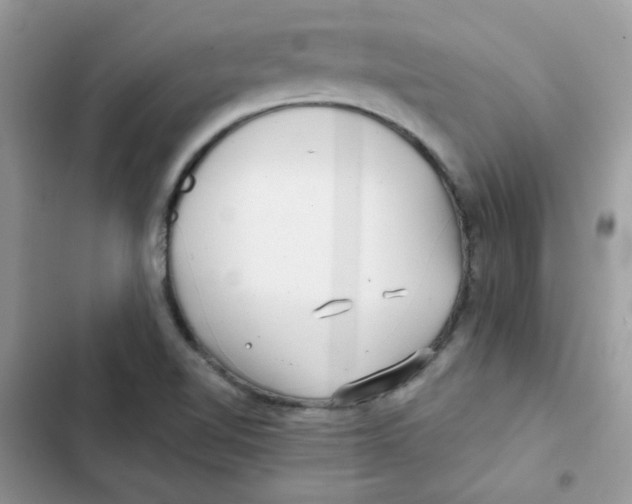 X0000101951510200808151241