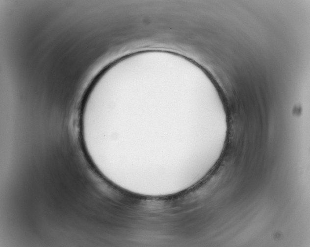 X0000101951511200808151241