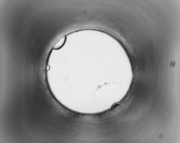 X0000101951512200808151241