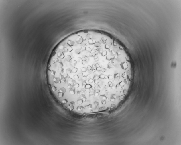 X0000101951513200808151241