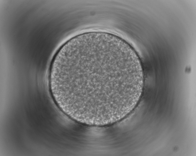 X0000101951514200808151241