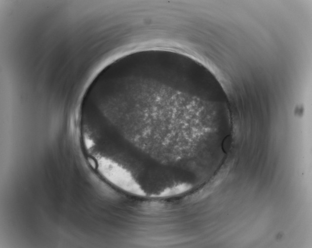 X0000101951515200808151241