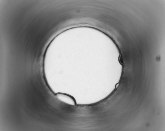 X0000101951516200808151241