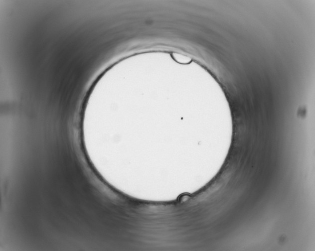 X0000101951518200808151241