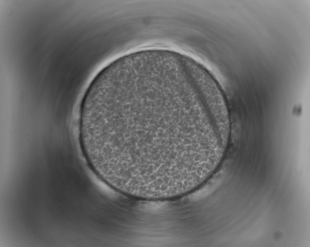 X0000101951519200808151241
