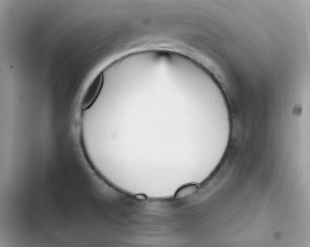 X0000101951520200808151241