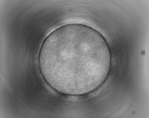 X0000101951521200808151241