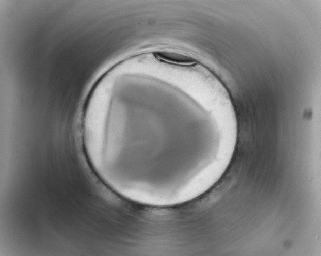 X0000101951522200808151241