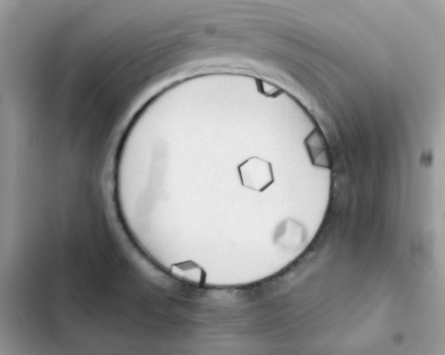 X0000101951523200808151241