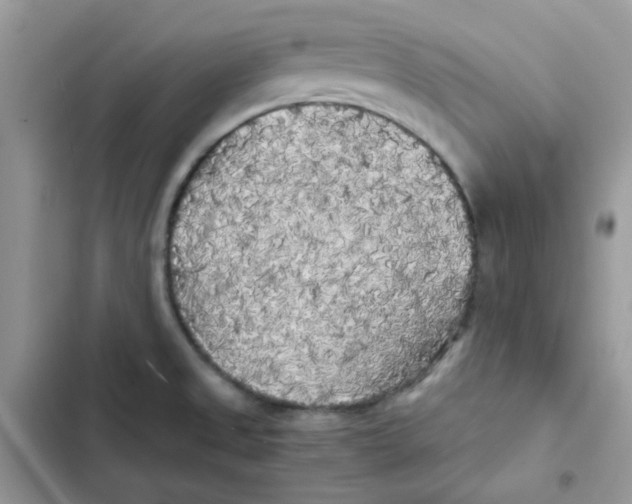 X0000101951525200808151241