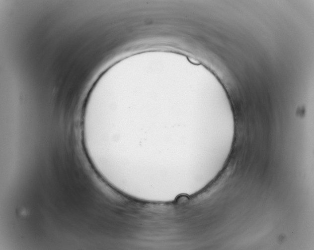 X0000101951526200808151241