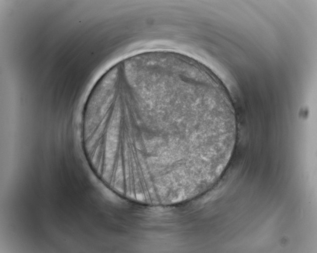 X0000101951527200808151241