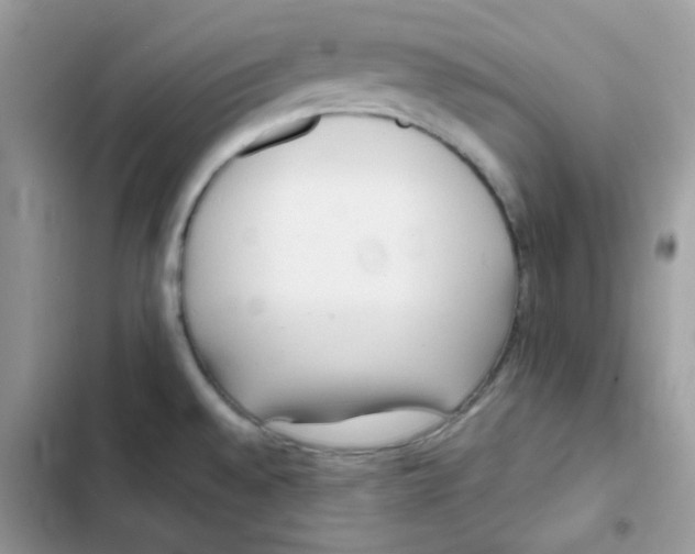 X0000101951528200808151241