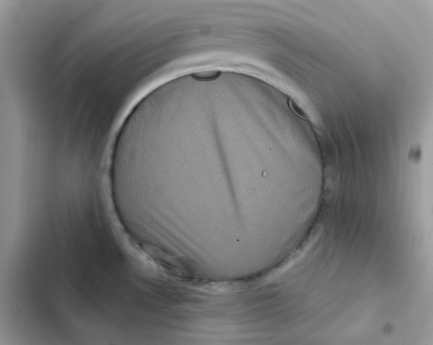 X0000101951530200808151241