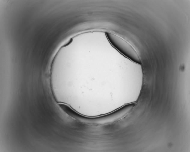 X0000101951532200808151241