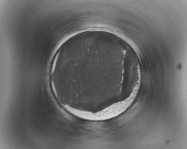 X0000101951533200808151241
