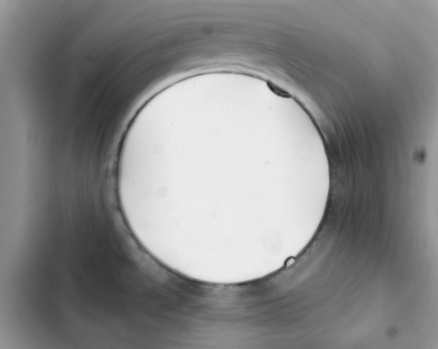 X0000101951534200808151241