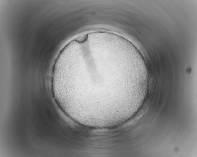 X0000101951535200808151241