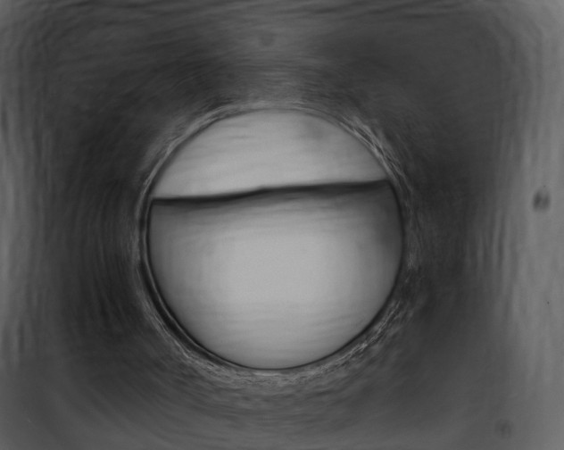 X0000101960002200807180713