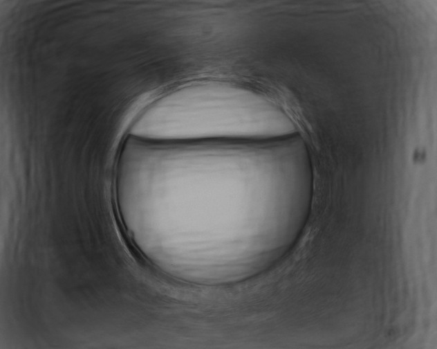 X0000101960003200807180713