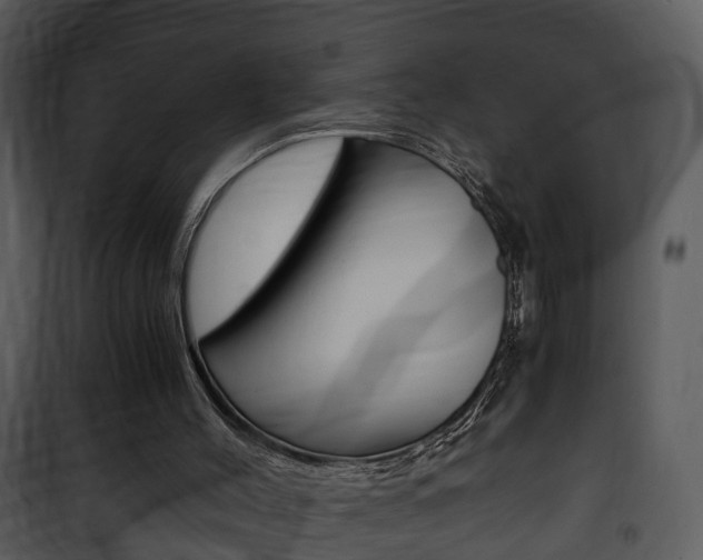 X0000101960004200807180713