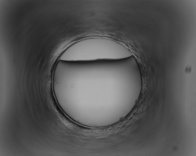 X0000101960005200807180713