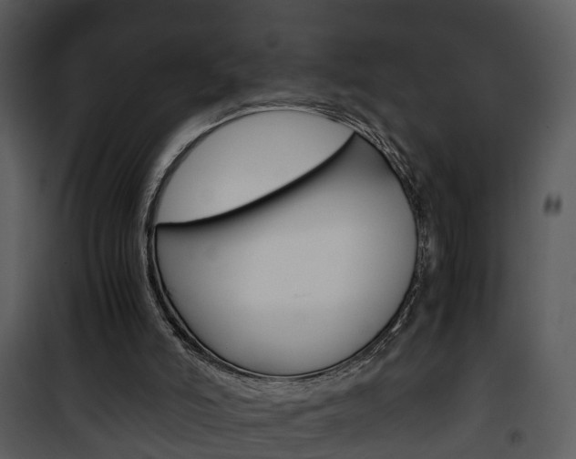 X0000101960006200807180713