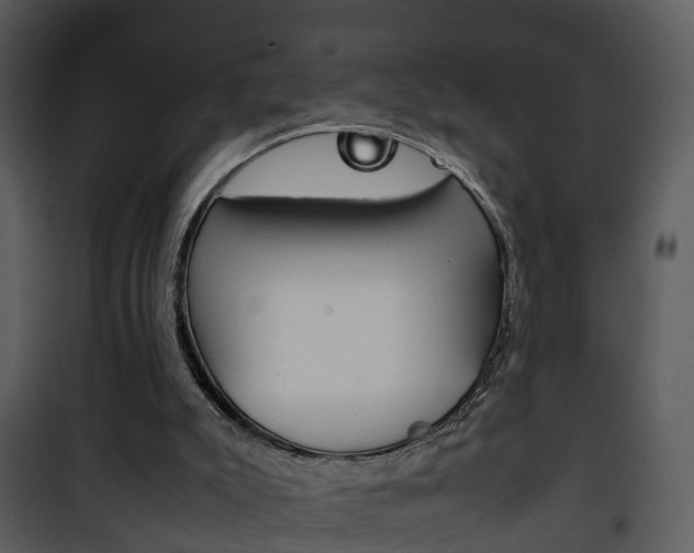 X0000101960007200807180713