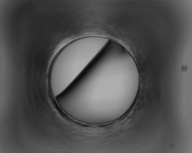 X0000101960008200807180713