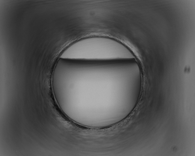 X0000101960009200807180713