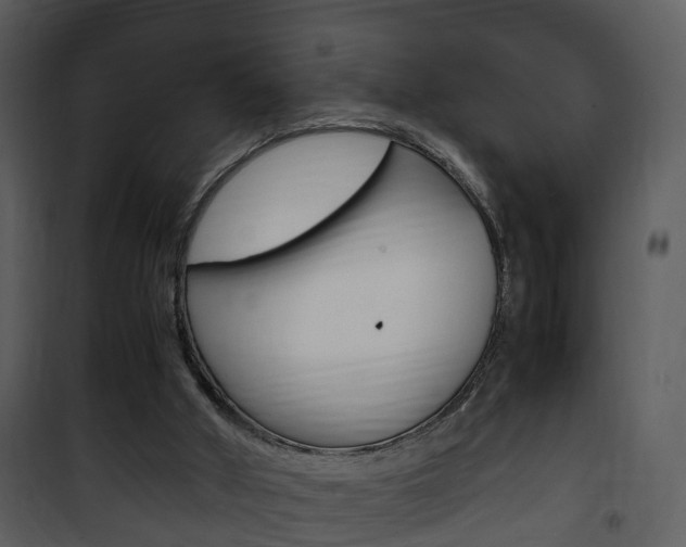 X0000101960010200807180713