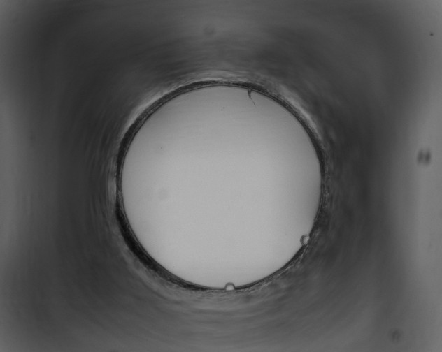 X0000101960011200807180713