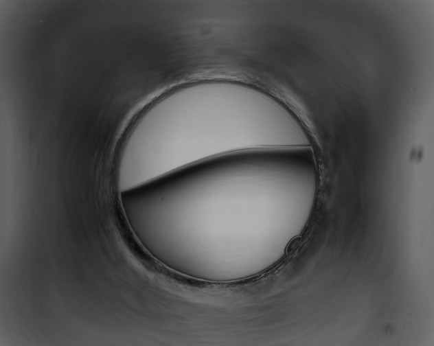 X0000101960012200807180713