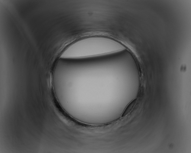 X0000101960013200807180713