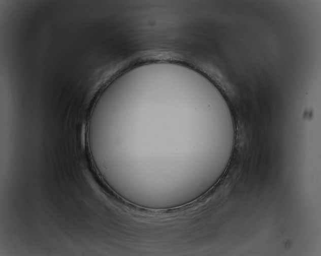 X0000101960014200807180713
