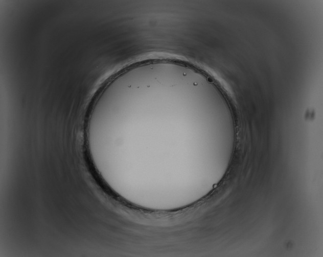 X0000101960015200807180713