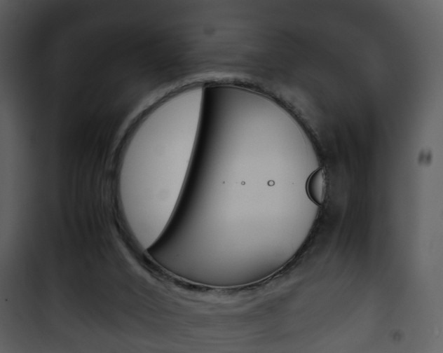 X0000101960016200807180713