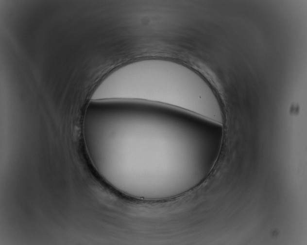 X0000101960017200807180713