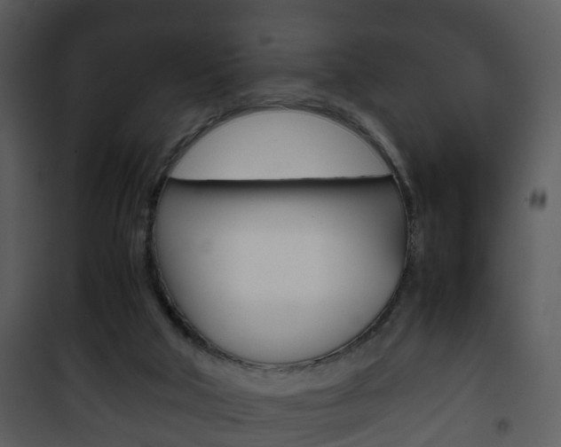 X0000101960018200807180713
