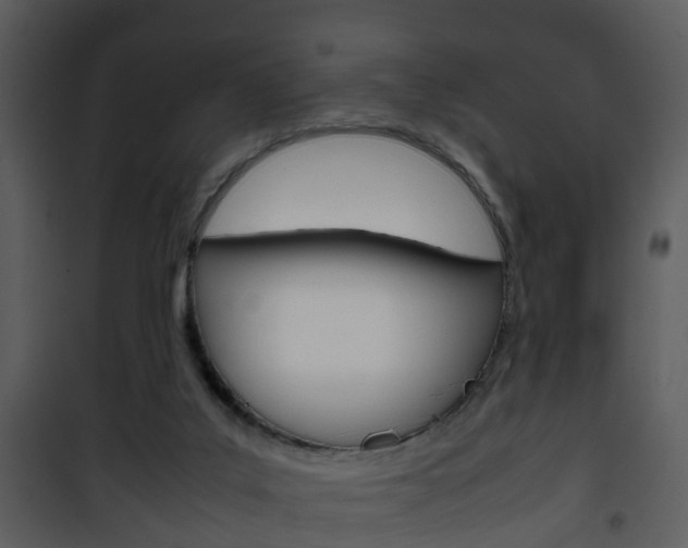 X0000101960019200807180713