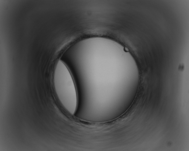 X0000101960020200807180713