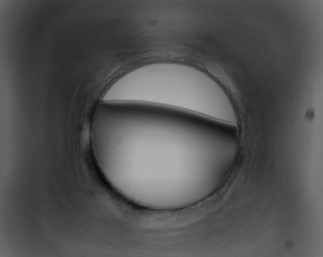 X0000101960021200807180713