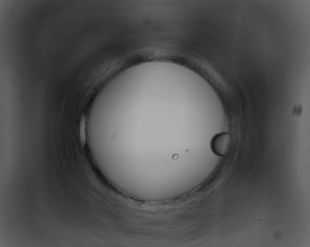 X0000101960022200807180713