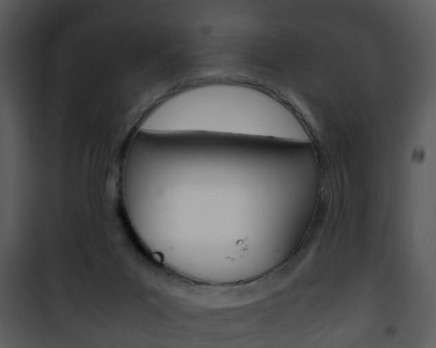 X0000101960023200807180713