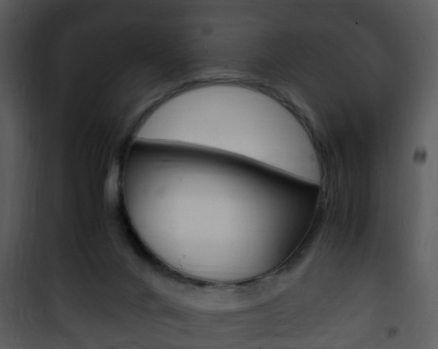X0000101960024200807180713