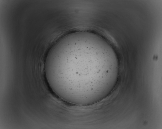 X0000101960025200807180713