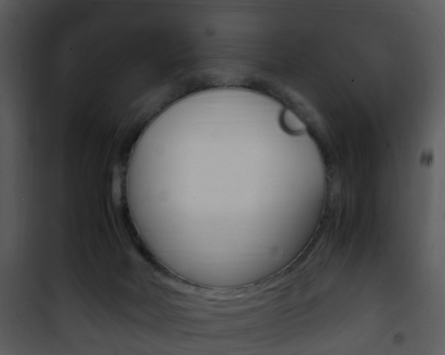 X0000101960026200807180713