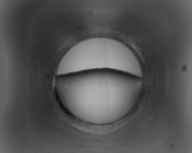 X0000101960027200807180713